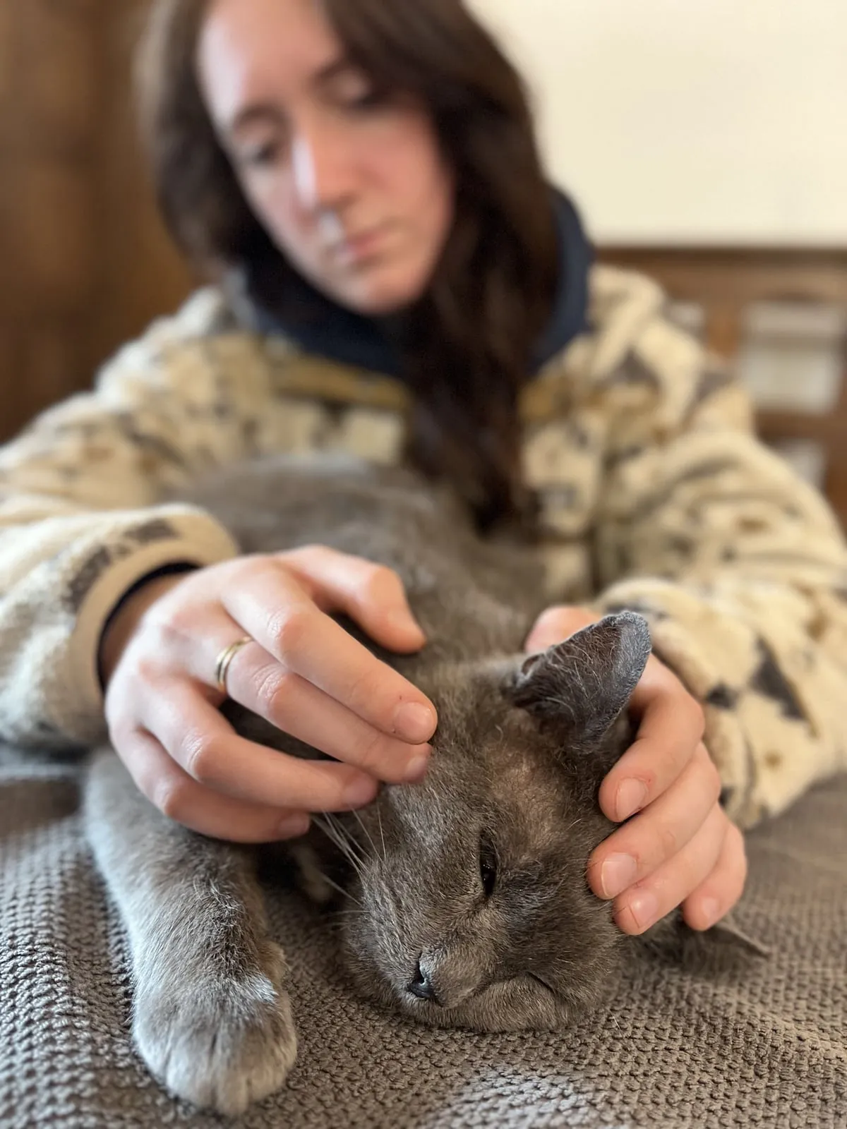 Julianne en manipulation douce sur un chat gris