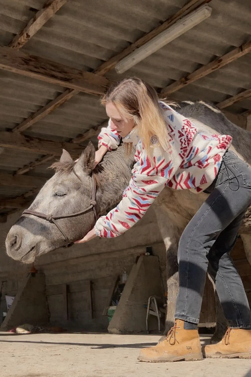Julianne auprès d’un cheval gris en écurie